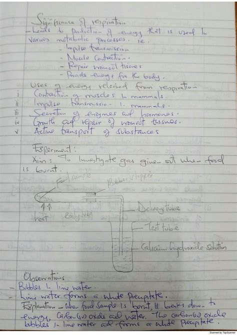 respiration and excretion note taking answers Reader