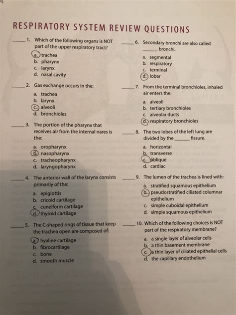 respiratory quiz with answers Doc