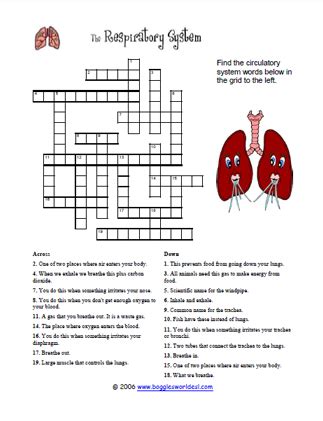 respiratory system crosswords puzzle answers Kindle Editon