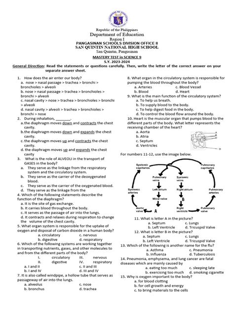 respiratory system mastery test answers PDF