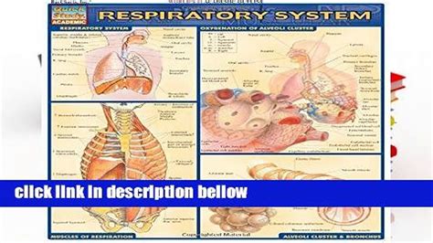 respiratory system quickstudy academic PDF