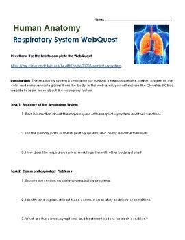 respiratory system webquest answers key Epub