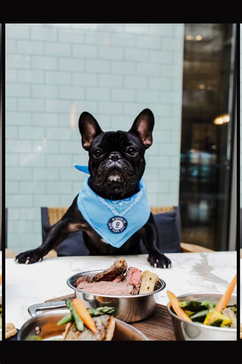 restaurants that take dogs