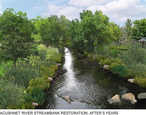 restored urban streams ecological restoration PDF