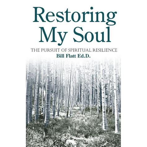 restoring my soul the pursuit of spiritual resilience Doc