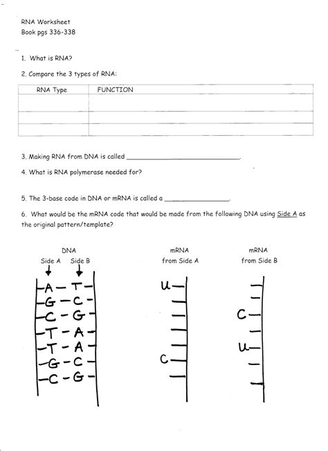 restriction enzyme worksheet answers Doc