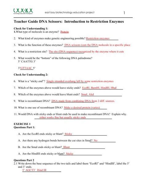 restriction enzymes dna scissors answer key Reader