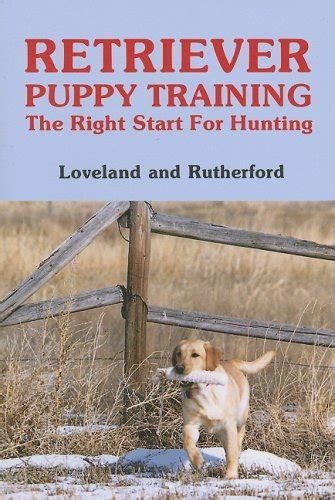 retriever puppy training the right start for hunting PDF