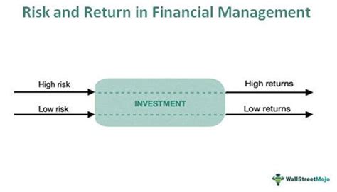 return on risk capital primarily includes