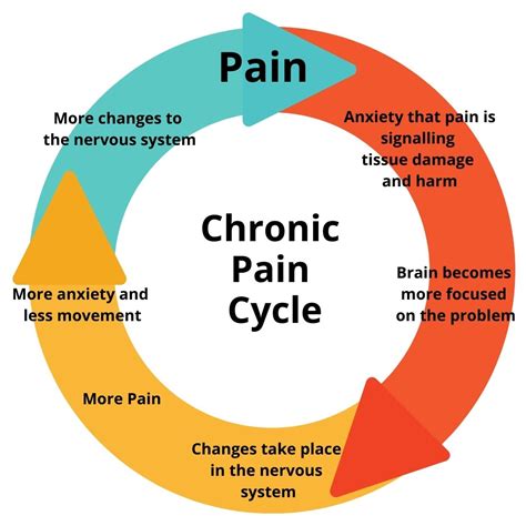 reversing chronic pain reversing chronic pain Kindle Editon