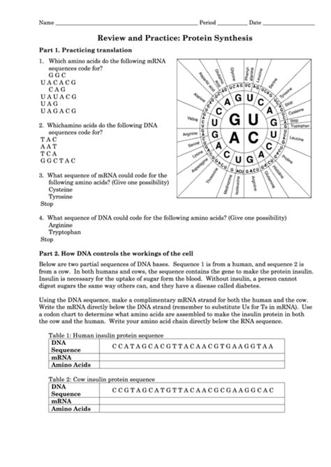 review and practice protein synthesis answer key Reader