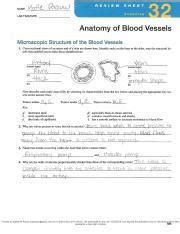 review sheet 21 anatomy of blood vessels answers PDF