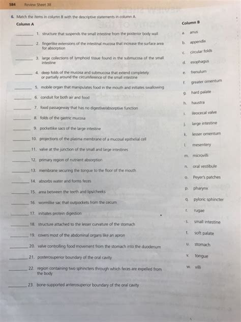 review sheet 38 answers Doc