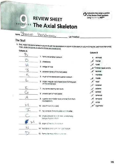 review sheet answers the axial skeleton answers Kindle Editon