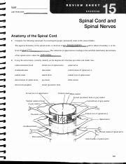 review sheet exercise 15 answers Kindle Editon