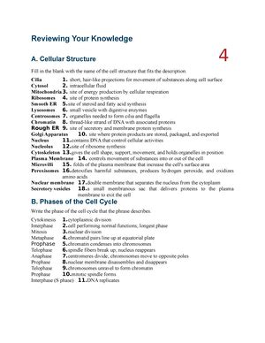 reviwing your knowledge anatomy lab answers Doc