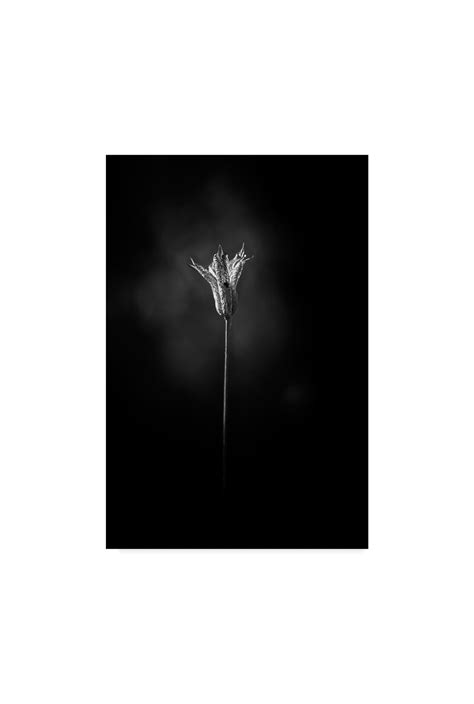 richard bland canvas
