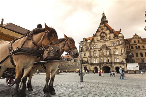 rick steves tour dresden Reader