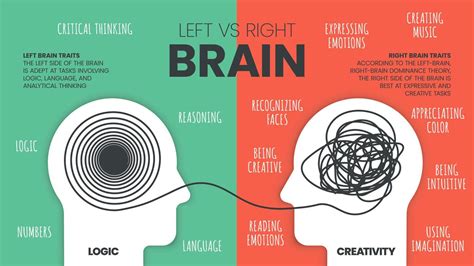 right brain left brain theory an artists perspective Doc