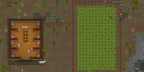 rimworld can animals eat haygrass