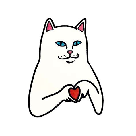 ripndip cat