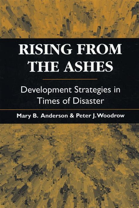 rising from the ashes development strategies in times of disaster Kindle Editon