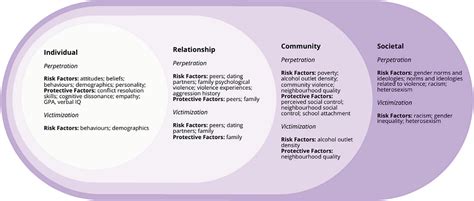 risk concepts in the social sciences Kindle Editon