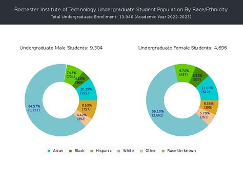 rit undergraduate population