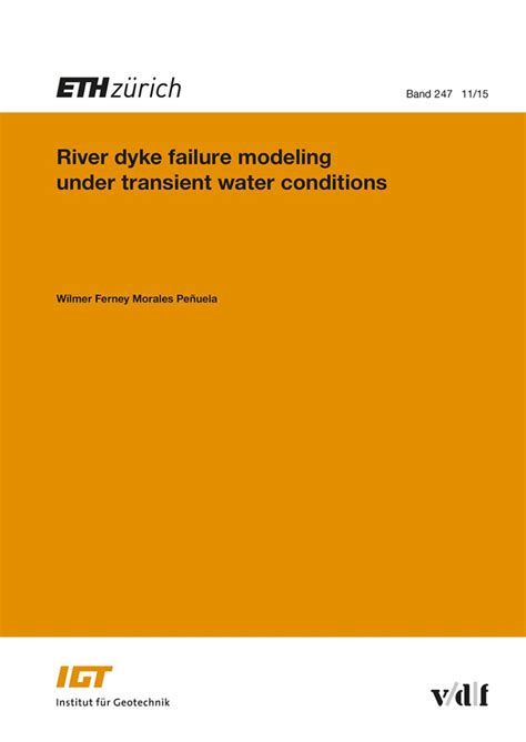 river failure modeling transient conditions PDF