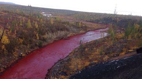 river in russia turns blood red