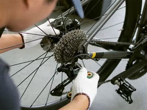road bike maintenance guide PDF
