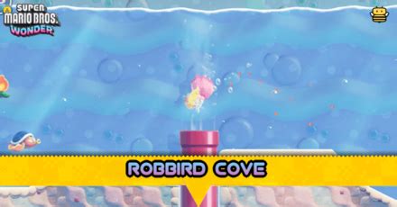 robbird cove wonder seed