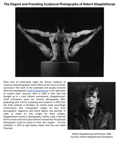 robert mapplethorpe pdf download Epub