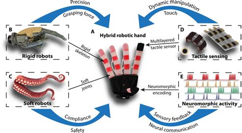 robotic tactile sensing robotic tactile sensing PDF