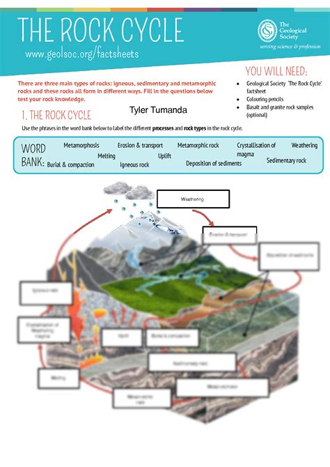 rock cycle answer sheet Kindle Editon