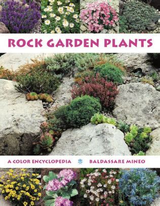 rock garden plants a color encyclopedia Reader