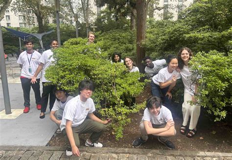 rockefeller summer science research program