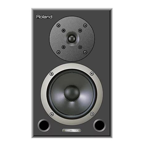 roland ds 50a speakers owners manual Reader