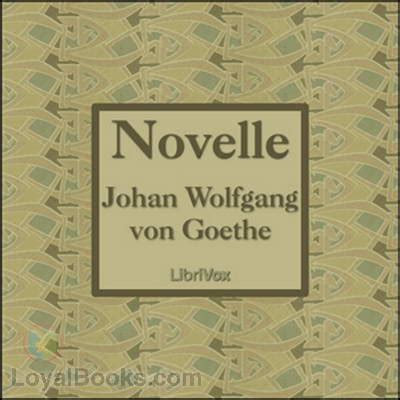 romane novelle johann wollfgang gothe ebook PDF