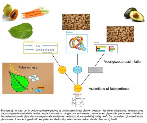 rommel als grondstof Reader