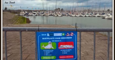 rood ijs mijn strijd om de zeehonden te redden PDF