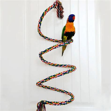 rope bird