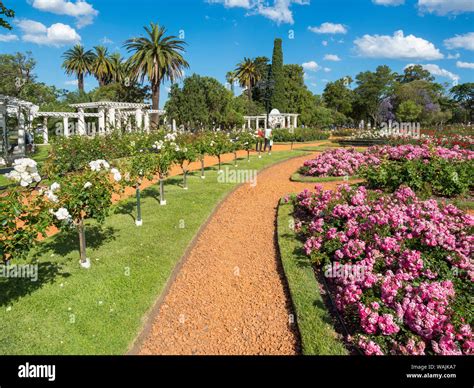 rosedal de palermo