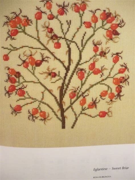 roses and flowering branches in counted cross stitch Epub