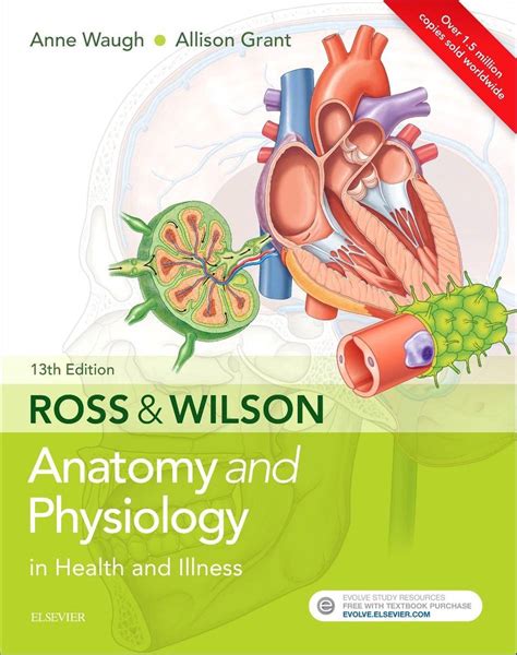 ross and wilson anatomy and physiology 11th edition free download pdf PDF