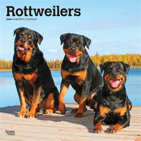 rottweilers calendar PDF