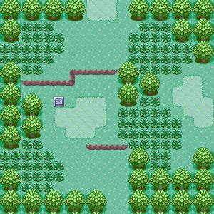 route 101 pokemon emerald