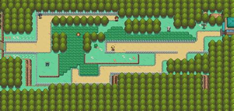 route 38 johto