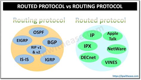 routed and routing protocols