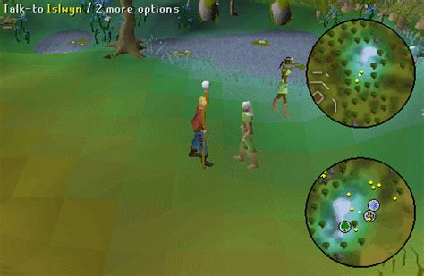 roving elves osrs